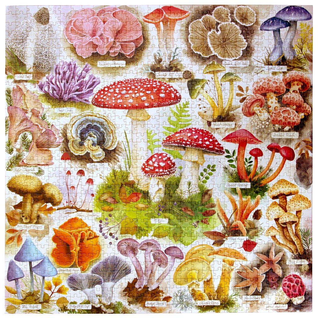 1000 Piece Puzzle: Bountiful Mushrooms