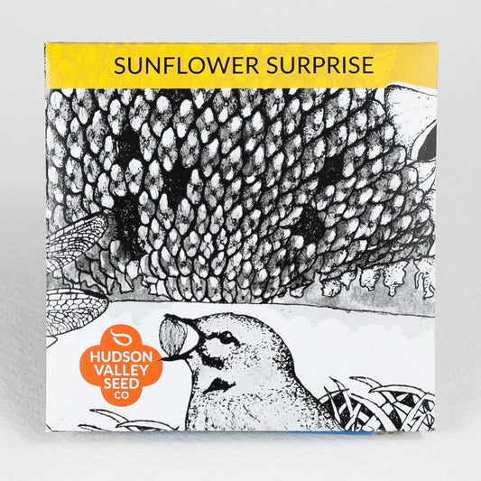 Seeds: Sunflower Surprise