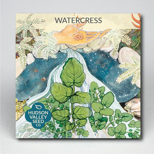 Seeds: Watercress