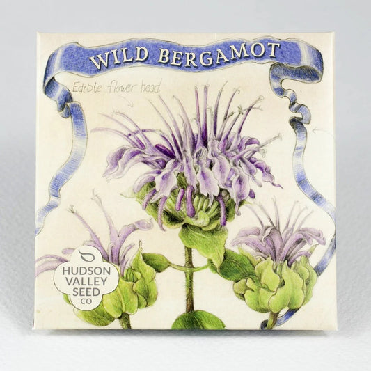 Seeds: Wild Bergamot