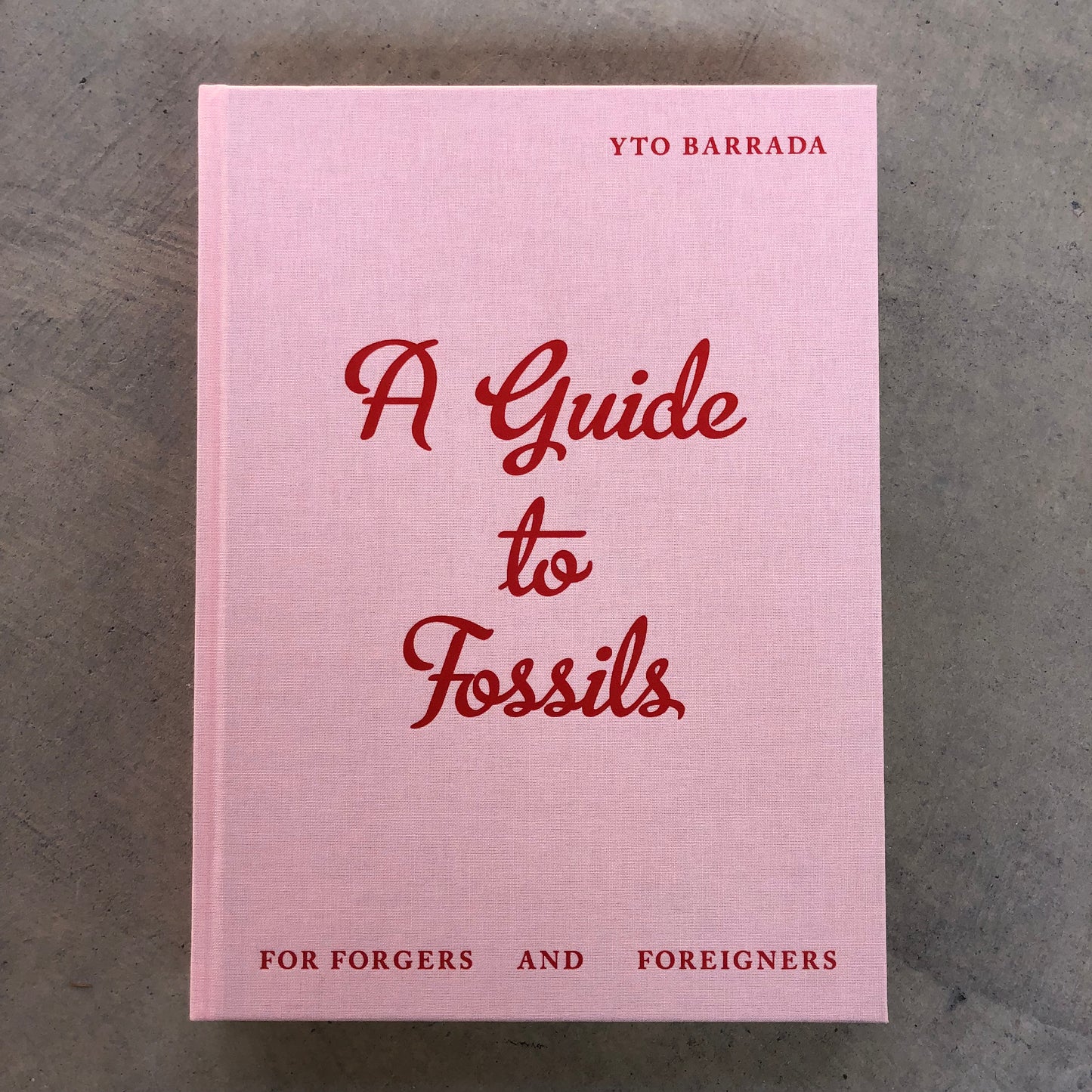 Yto Barrada: Guide to Trees + Guide to Fossils