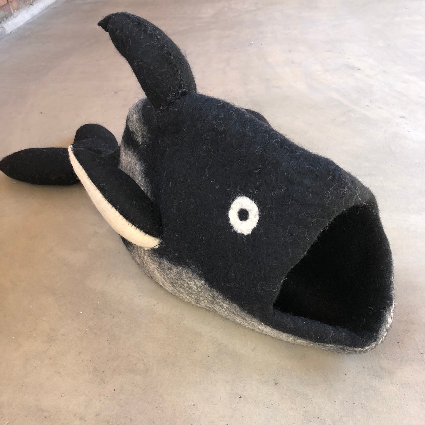 Cat Pod: Orca