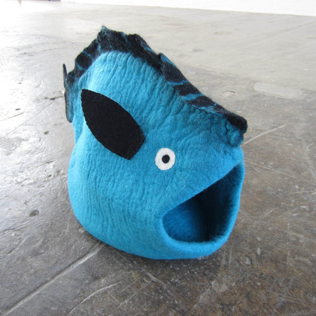 Cat Pod: Turquoise Fish