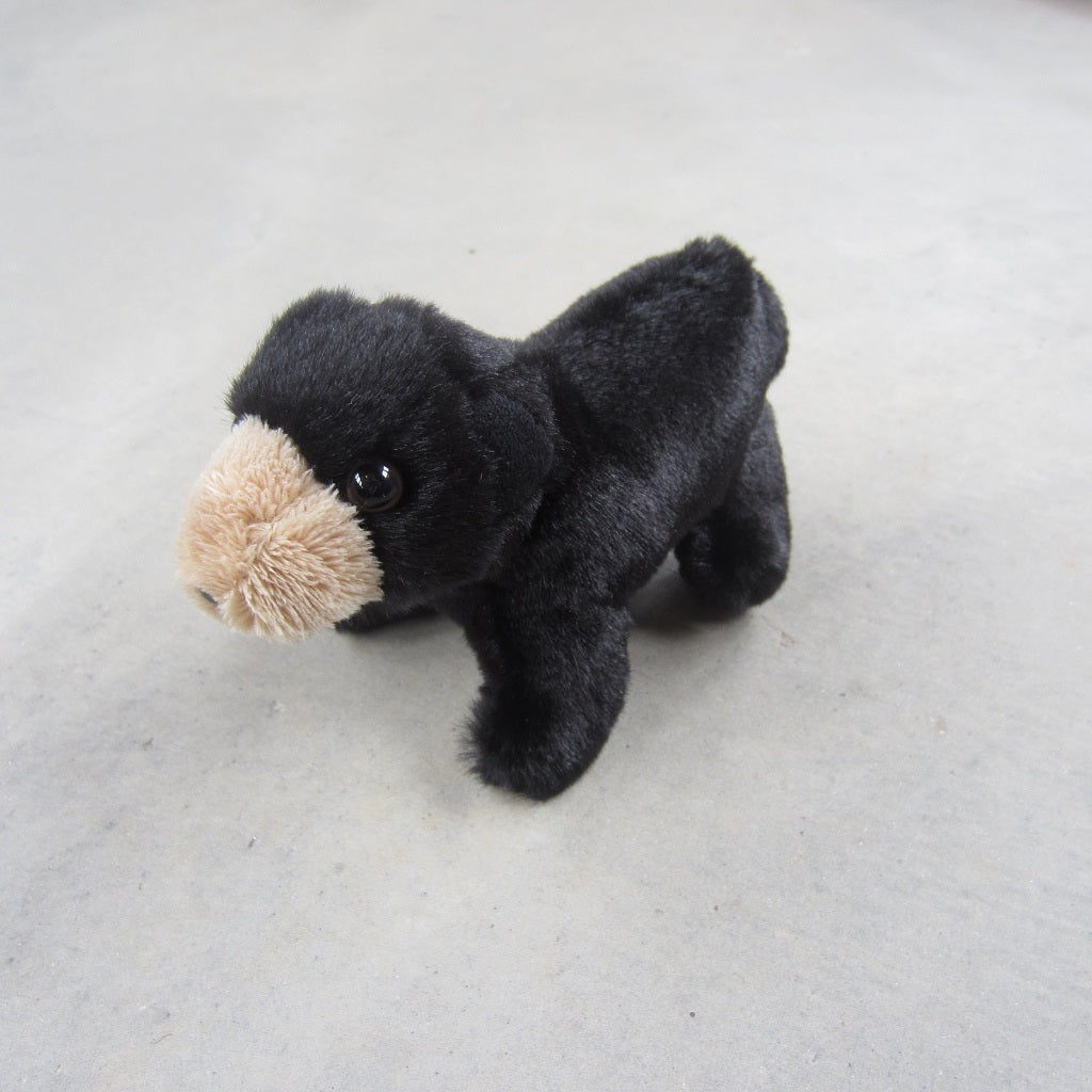 Finger Puppet: Mini Black Bear