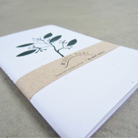 Jotter Notebook: Eucalyptus