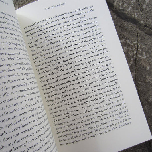 Notes of a Native Son