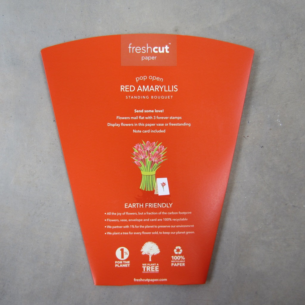Paper Bouquet: Red Amaryllis