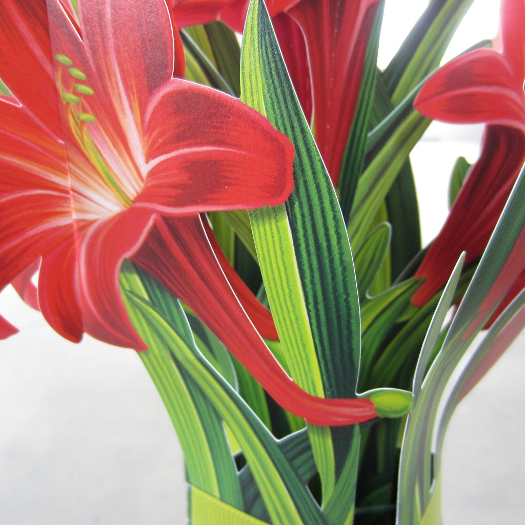 Paper Bouquet: Red Amaryllis
